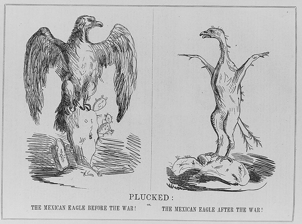 Political cartoon title "Plucked" depicting an eagle before and after the Mexican-American War