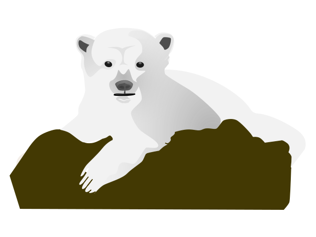 image of polar bear