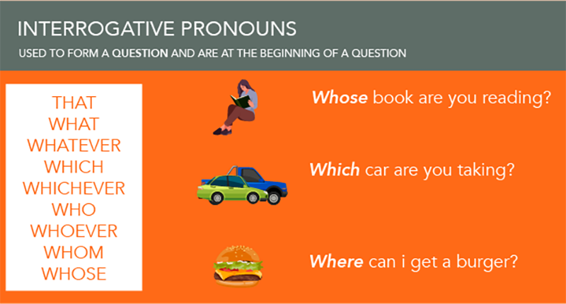 Interrogative Pronouns, that, what, whatever, which, whichever, who, whom, whose, woman reading, two cars, hamburger