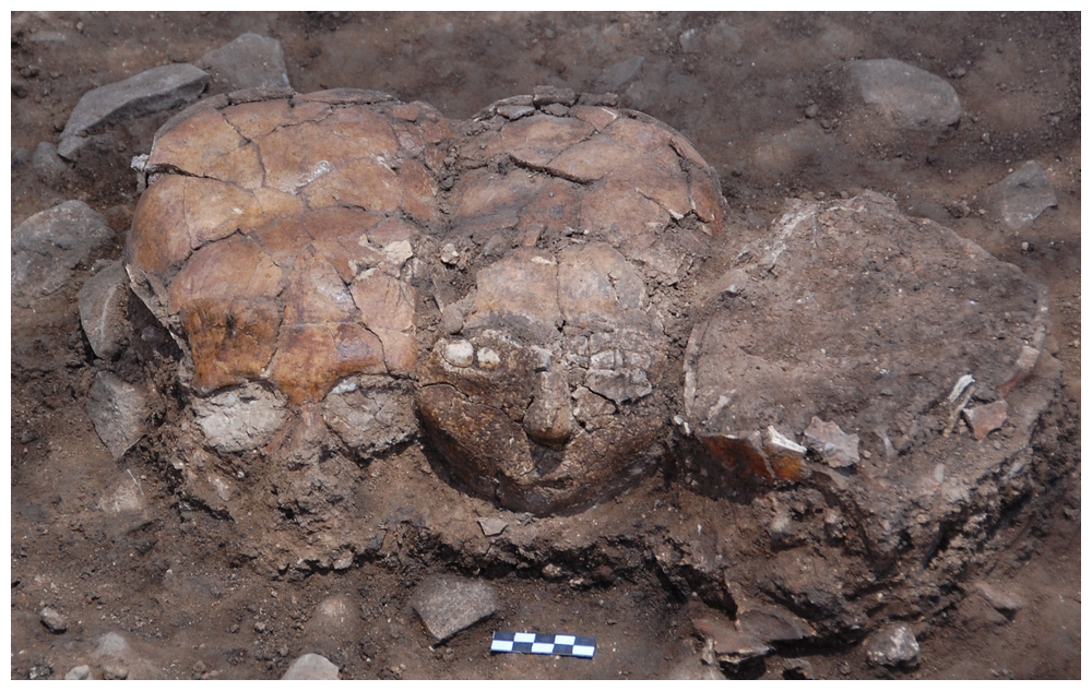 Neolithic Plastered Skulls