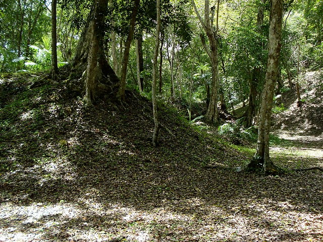 Maya house mound
