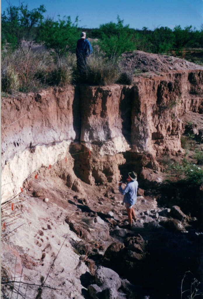 Murray Springs Stratigraphy