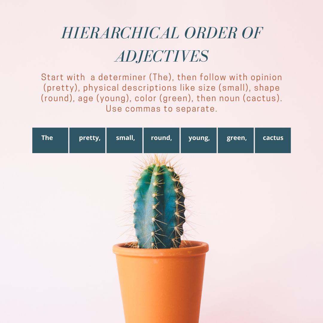 order of adjectives, determiner, opinion, physical descriptions, color, age, noun,commas, cactus